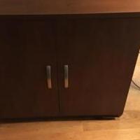 Storage Cabinet or printer desk for sale in Pinehurst NC by Garage Sale Showcase member WalterH, posted 12/30/2019