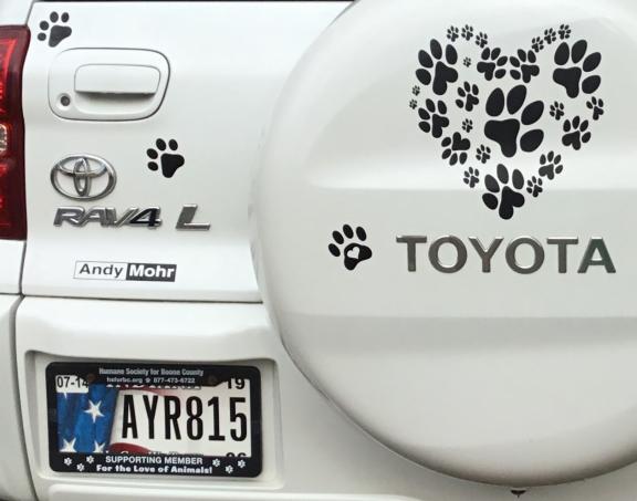 GOT PAWS? Affordable In Your Home Training for sale in Thorntown IN