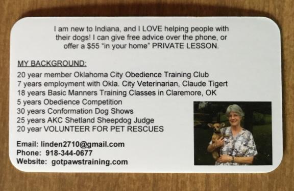 Affordable Private Lesson for Dog Training