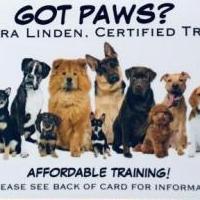 Affordable Private Lesson for Dog Training for sale in Thorntown IN by Garage Sale Showcase member FreshFace42, posted 02/16/2019