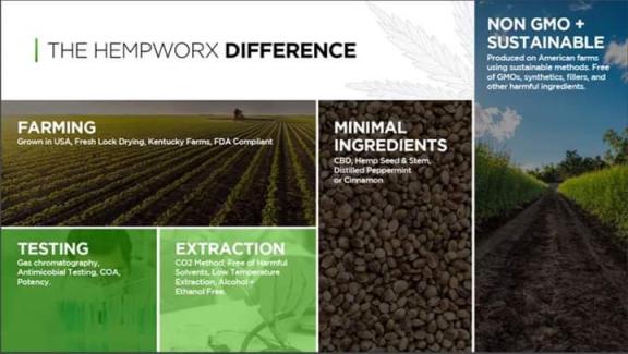 Own your own business for sale in Cape Coral FL