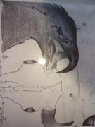 Fearless Eagle for sale in Martin SD