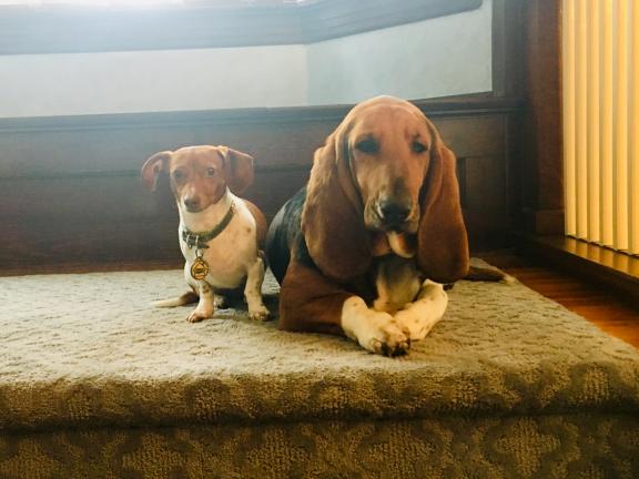 Garage sale in Breese, Illinois of Garage Sale Showcase Member 1Victorian.