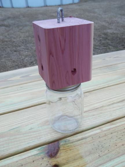 carpenter bee trap from cedar wood