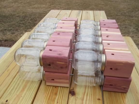 carpenter bee trap from cedar wood