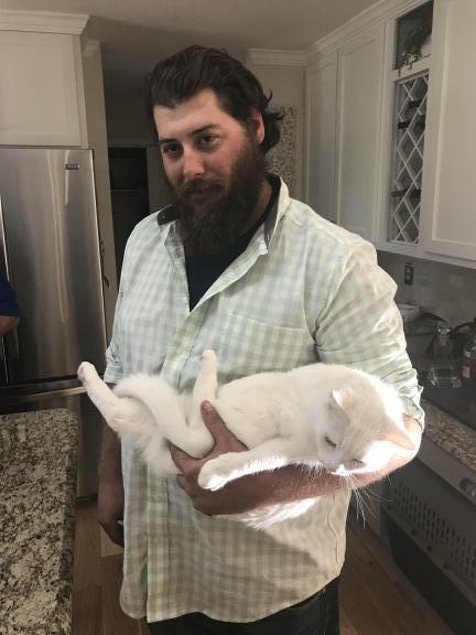 Loving cat to good home