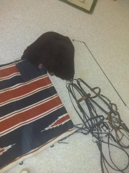 Equestrian Estate for sale in Monroe GA