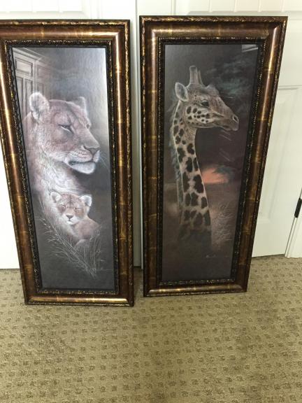 Animal pictures for sale in Lubbock TX