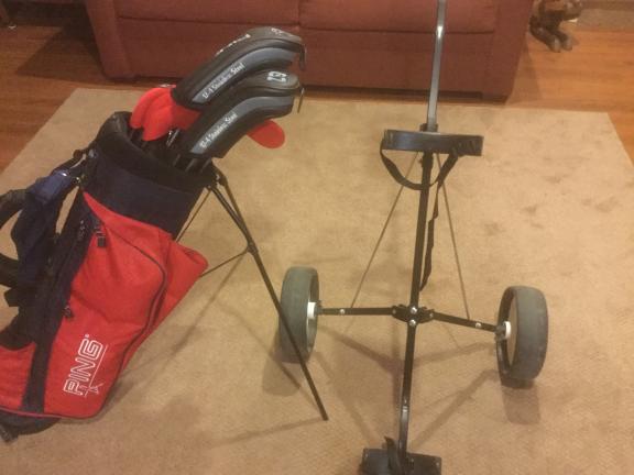 Ping Lady’s Golf Clubs