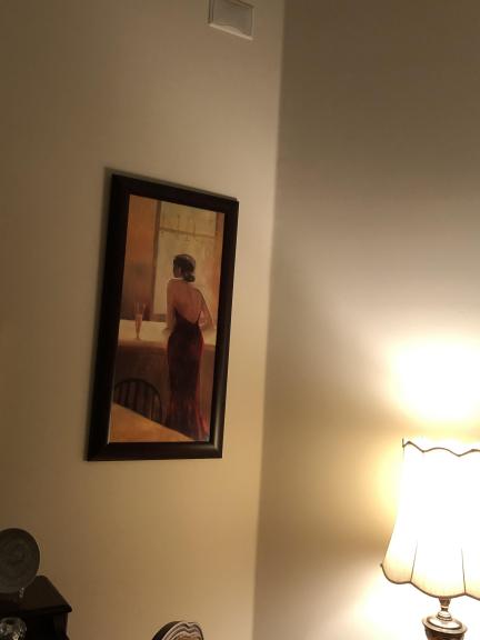 Woman at Venice Bar for sale in Eagan MN