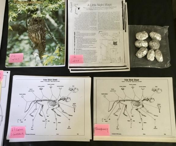 Owl Pellet educational activity for sale in Metairie LA