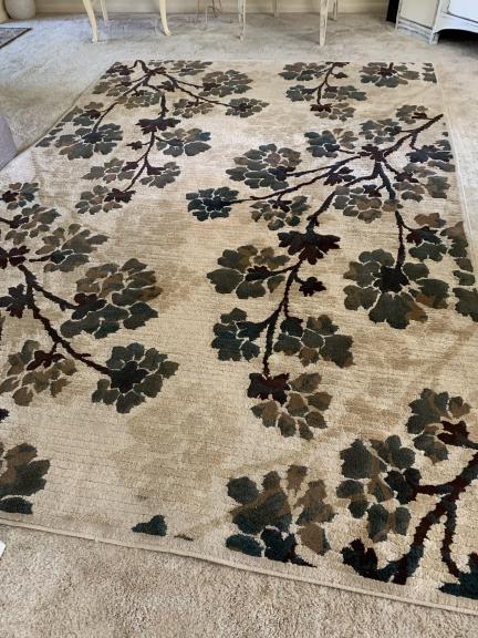 Area Rug for sale in Fremont OH