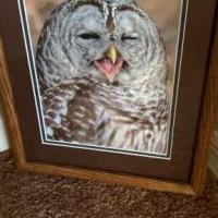 Online garage sale of Garage Sale Showcase Member CC111Nv20, featuring used items for sale in Collier County FL