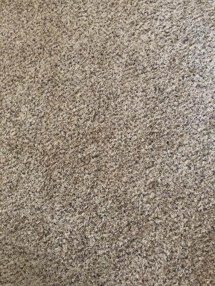 Carpet for sale in Newport TN