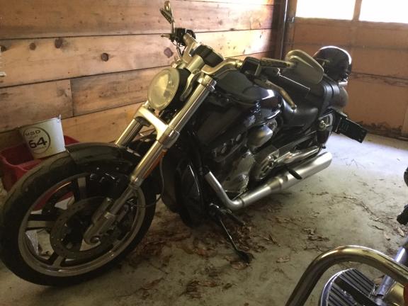 Harley Davidson for sale in Newport NC