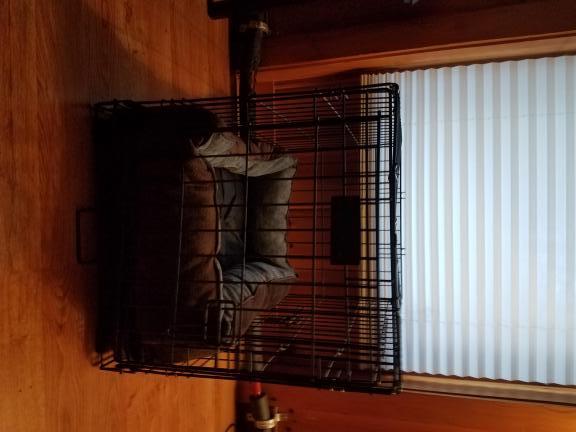 Dog cage for sale in Hyde Park VT