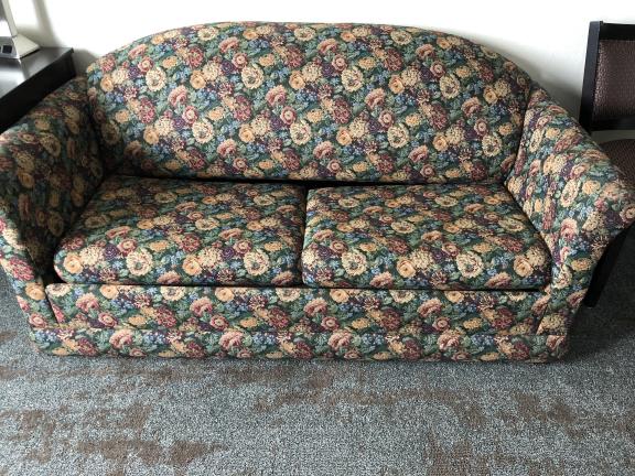 PULL OUT COUCH SOFA BED for sale in Maquoketa IA