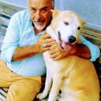 Online Garage Sale of Garage Sale Showcase Member Billyschronce in Newton, North Carolina (Catawba County)