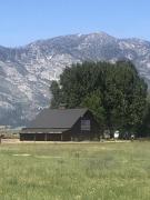 Online garage sale of Garage Sale Showcase Member Drombal, featuring used items for sale in Douglas County NV