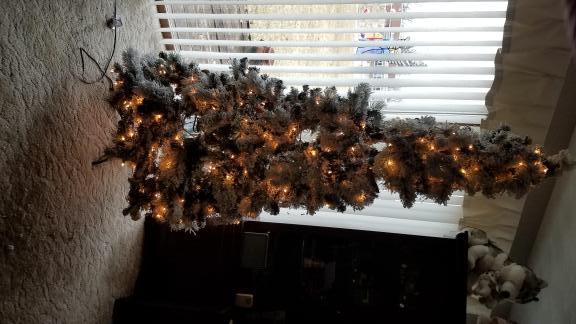 Christmas Tree for sale in Muir MI