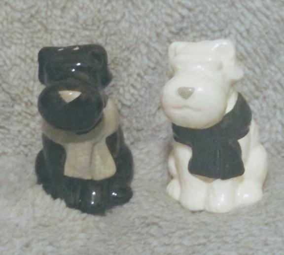 Terrior Salt & Pepper Shaker Set for sale in Hart County KY