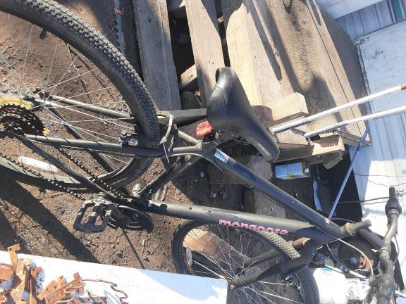 Mongoose bike
