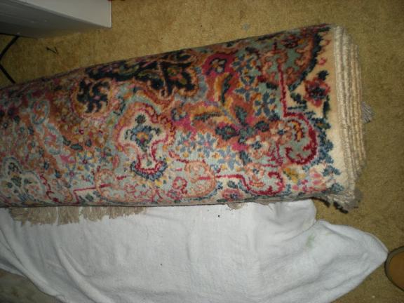 Karastan rug