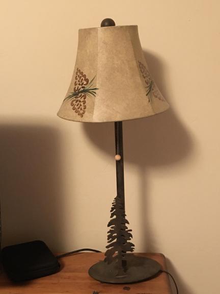 Lodge style lamps for sale in Fraser CO