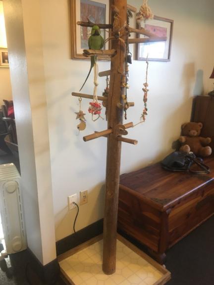 Bird Gym for sale in Tamaqua PA