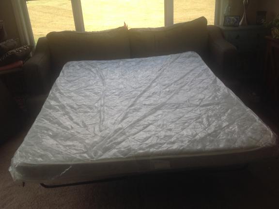 Sleeper sofa