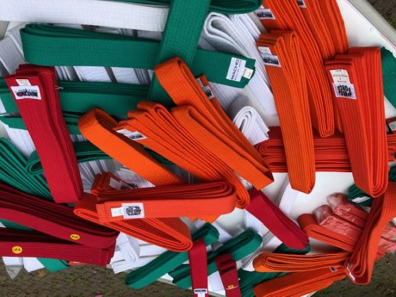 Karate belts,various colors, sizes, price per item for sale in Port Jervis NY