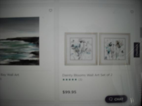 Dainty Blooms Wall Art Set of 2.