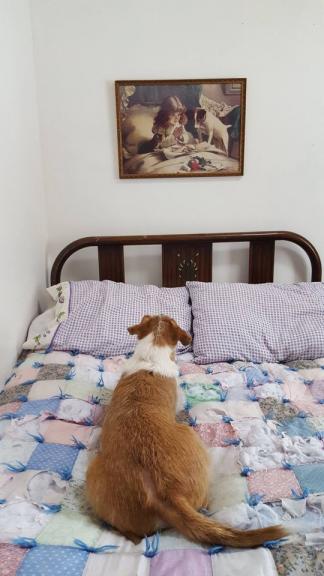 Garage sale in Millington, Michigan of Garage Sale Showcase Member wnkprice. 3 items currently listed for sale.