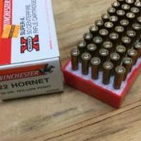 AMMO. .22 HORNET for sale in Holbrook NY by Garage Sale Showcase member pac11741, posted 08/08/2021
