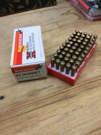AMMO.  .22 HORNET for sale in Holbrook NY