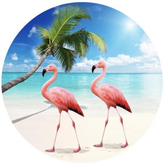 Garage sale in Oklahoma City, Oklahoma of Garage Sale Showcase Member PennyLane.