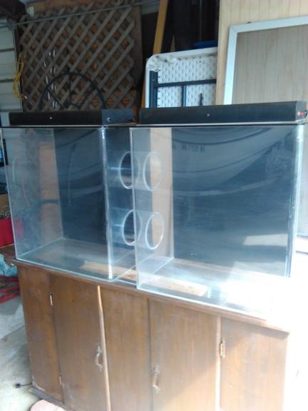 Fish Tank 2 Room 55 Gallon