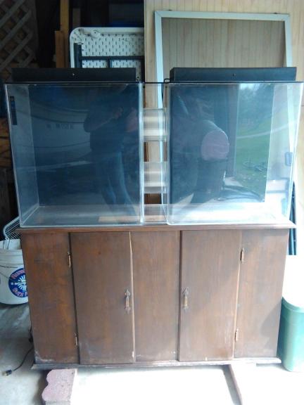 Fish Tank 2 Room 55 Gallon