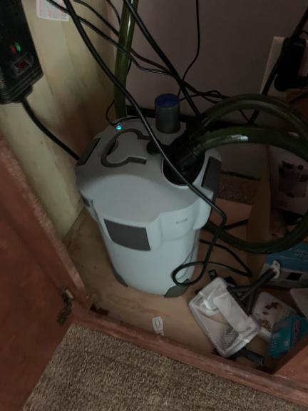 50 Gallon Saltwater Aquarium with Accessories