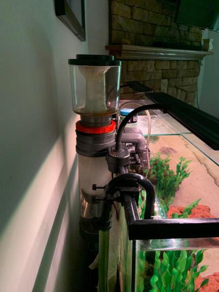 50 Gallon Saltwater Aquarium with Accessories