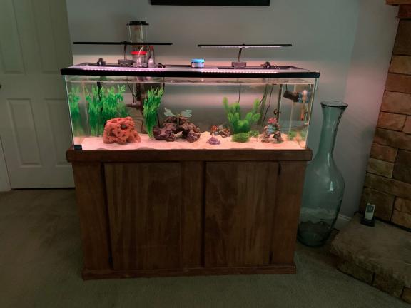50 Gallon Saltwater Aquarium with Accessories for sale in Clarksville VA