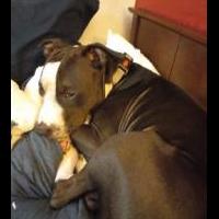 Online Garage Sale of Garage Sale Showcase Member Imtheone83 in Elkhart, Indiana (Elkhart County)