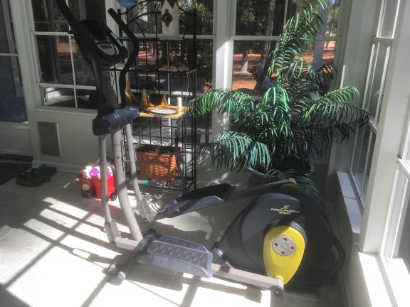PRO-FORM 850 Elliptical Fitness Machine (Space-Saver)