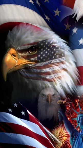 Garage sale in St.marys, Pennsylvania of Garage Sale Showcase Member ChiefPatriot101.
