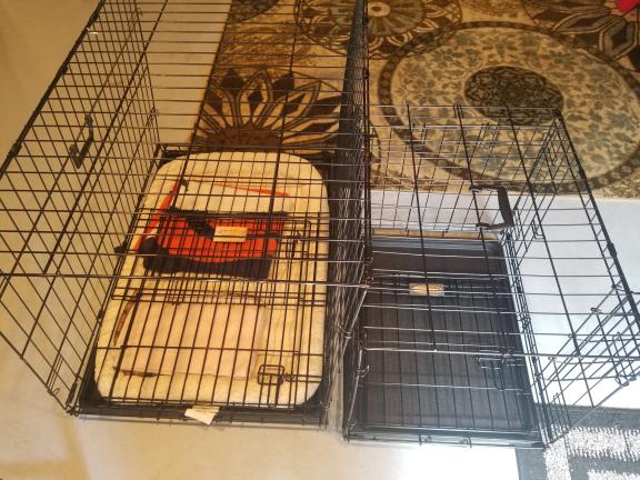 Dog Crates for sale in St.marys PA