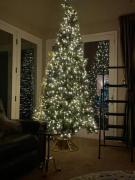 Martha Stewart 9' lit artificial Christmas tree for sale in Cheyenne WY