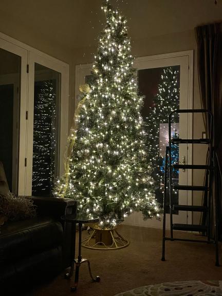 Martha Stewart 9' lit artificial Christmas tree for sale in Cheyenne WY