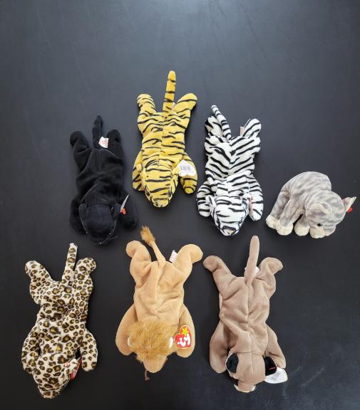 TY beanie baby cat lot of 7 for sale in Kerrville TX