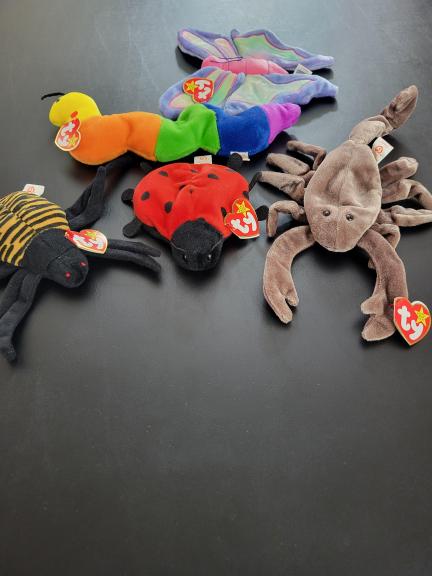 TY beanie baby bug lot of 5 for sale in Kerrville TX
