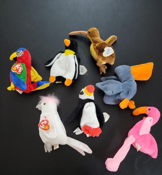 TY beanie baby bird lot of 7 for sale in Kerrville TX